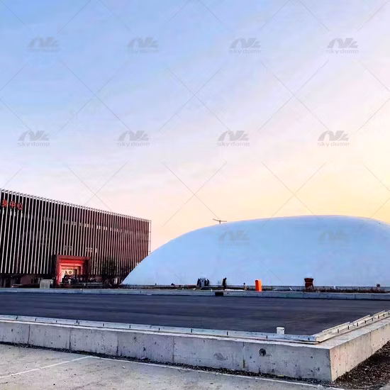 Klarer Luftblasen-Regenschirm, Party-Thymian – Pop-up-Stab-Baldachin, Sonne/Regen-Reise – großer Kuppelschirm, Liebe liegt in der Luft